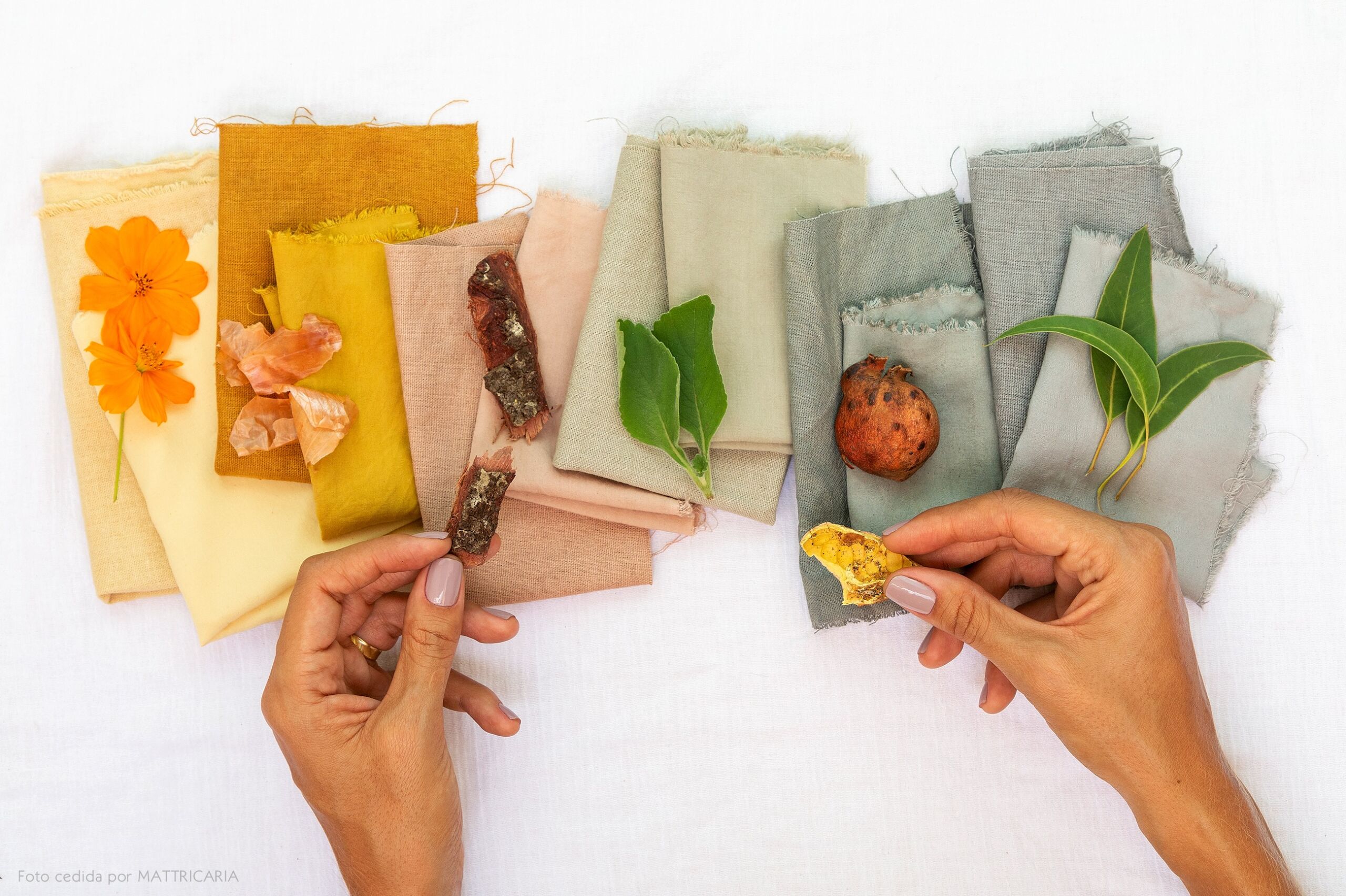 Extraindo a Cor: Pigmentos Naturais ao Seu Alcance - inspiração 1