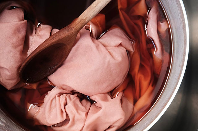 Flores e Folhas: Jardins de Cores para suas Peças - inspiração 1