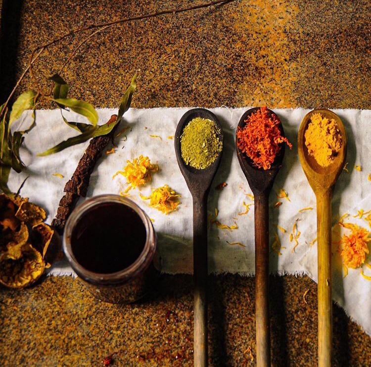 Flores e Folhas: Jardins de Cores para suas Peças - inspiração 2