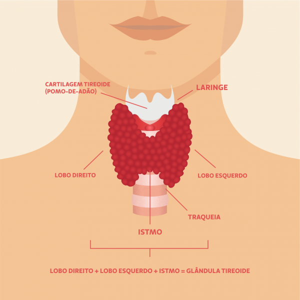 Os Sinais Sutis do Hipotireoidismo: Fique Atenta aos Sintomas Mais Comuns - inspiração 2