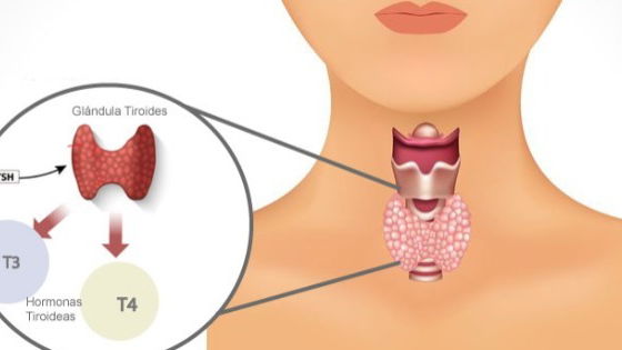 Quando Procurar Ajuda Médica: A Importância do Diagnóstico Precoce - inspiração 2