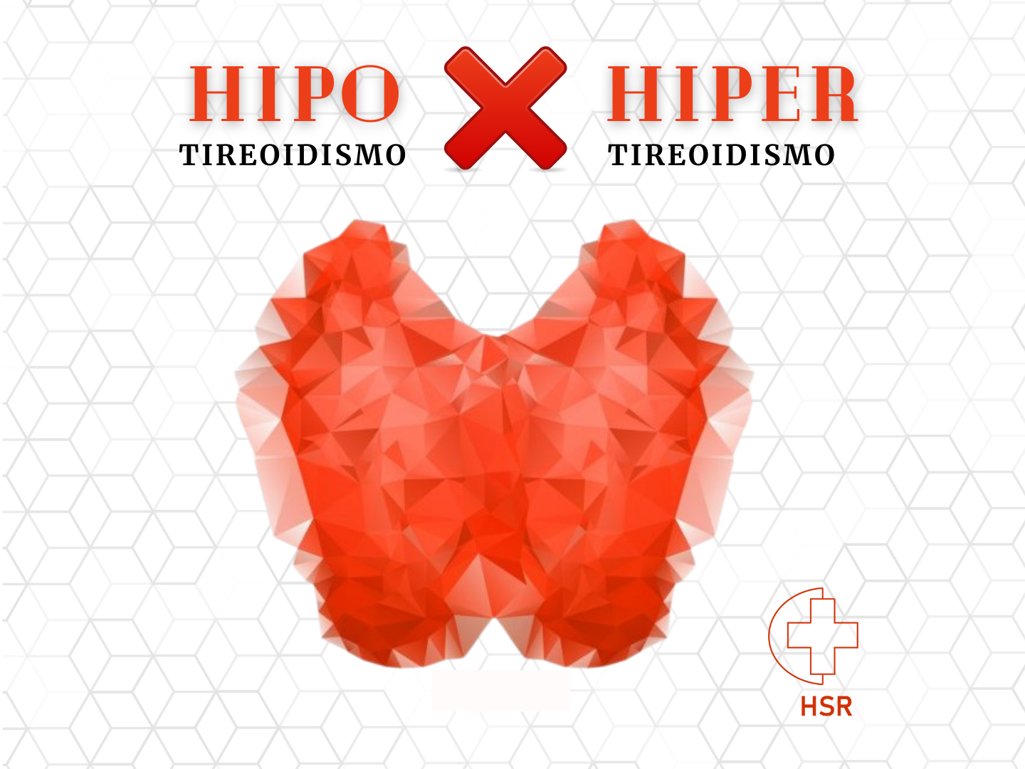 Mudanças na Pele e Cabelos: Ressecamento ou Oleosidade Excessiva? - inspiração 2