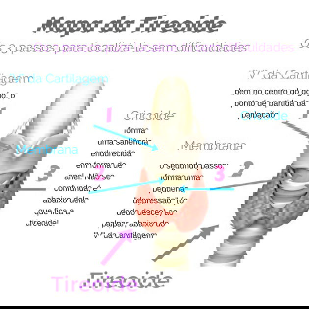 O Ritmo do Intestino: Constipação ou Diarreia Frequente? - inspiração 2