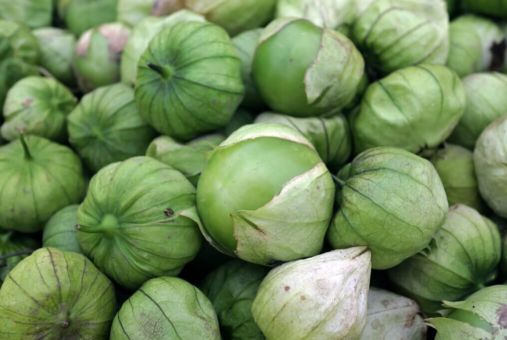 Erros Comuns ao Usar Tomatillo e Como Evitá-los - inspiração 2