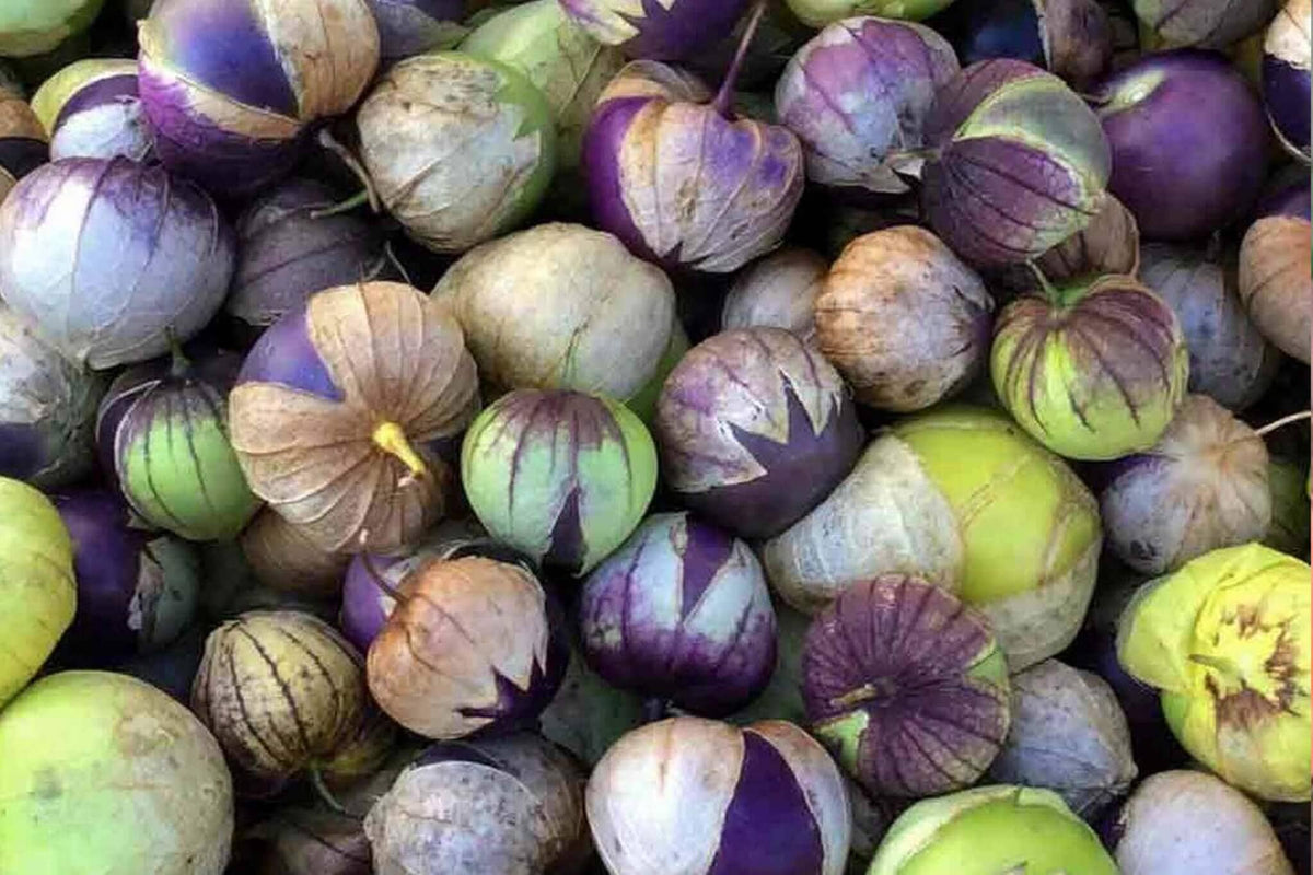 Benefícios Nutricionais do Tomatillo Para Sua Saúde - inspiração 2