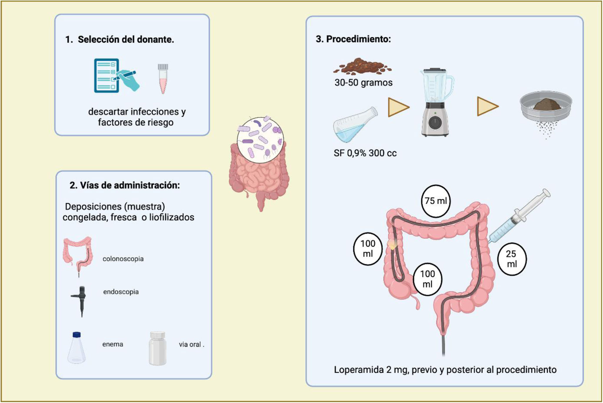 Para Quem é Indicado o Transplante de Microbiota? - inspiração 1