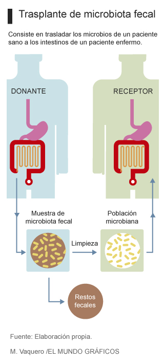 Pós-Transplante: Cuidados e Recuperação Essenciais - inspiração 1