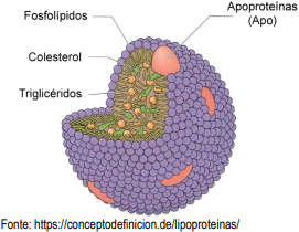 Maneiras práticas de monitorar seus triglicerídeos no dia a dia - inspiração 2