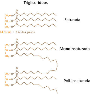 Entendendo os resultados dos seus exames - inspiração 2