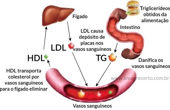 Diferenciando bons e maus hábitos alimentares - inspiração 1