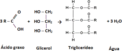 Quando procurar ajuda médica - inspiração 1