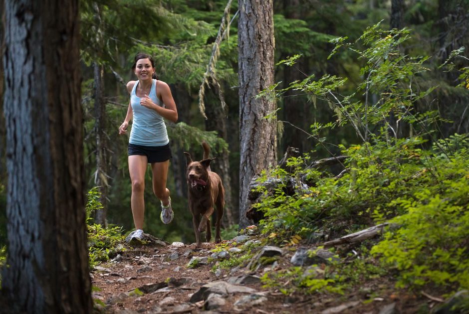 Equipamentos Essenciais para um Passeio sem Perrengues - inspiração 1