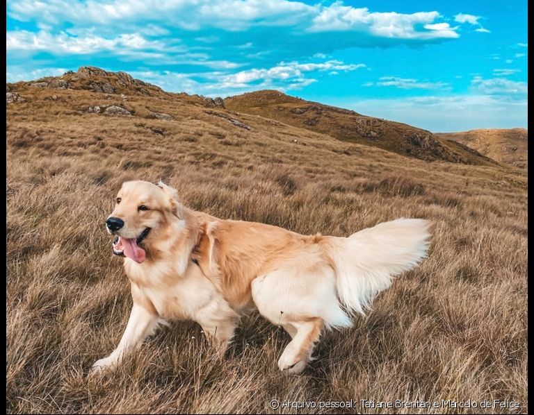 Equipamentos Essenciais para um Passeio sem Perrengues - inspiração 2