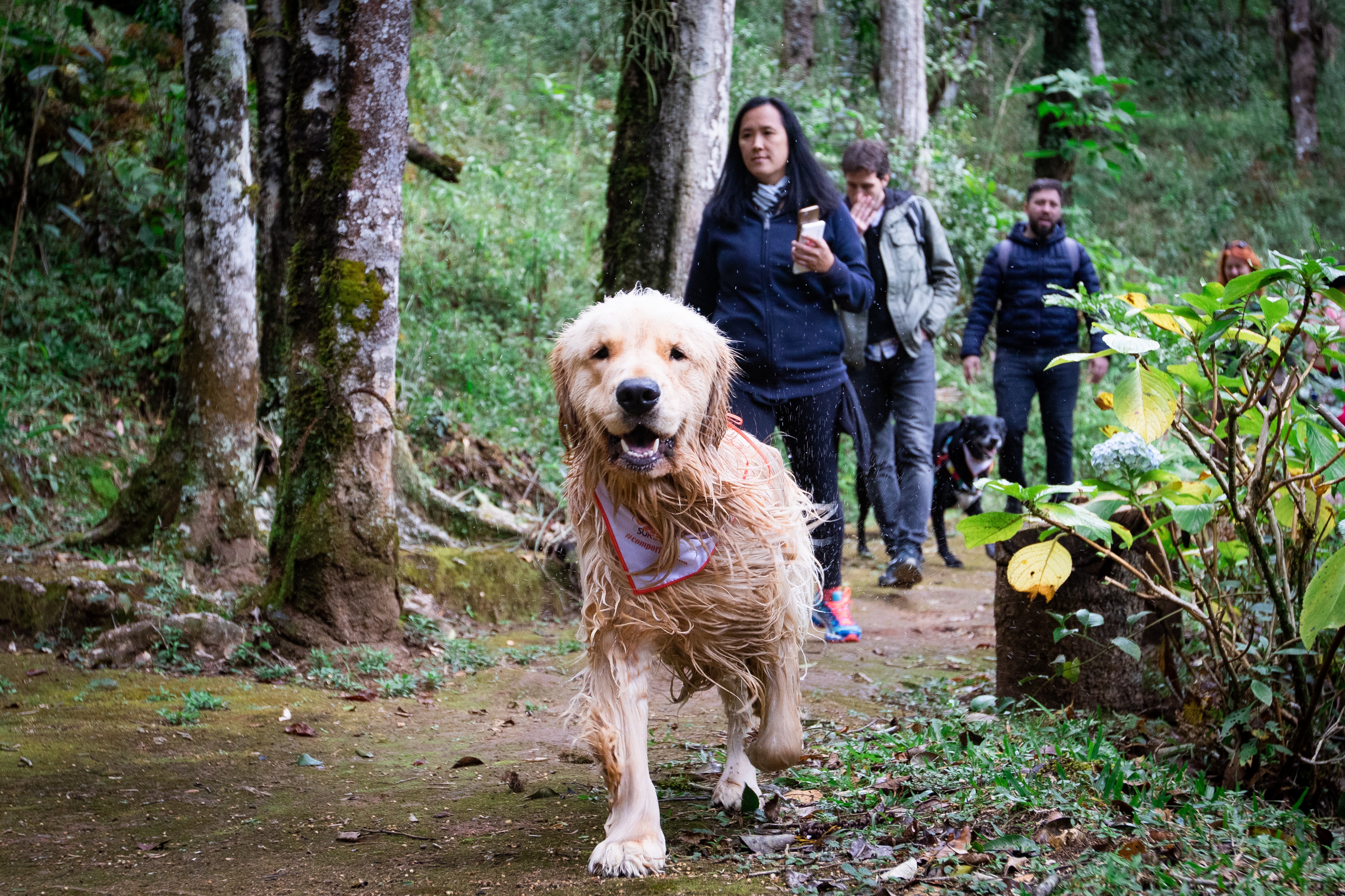Hidratação e Alimentação Durante a Caminhada - inspiração 2