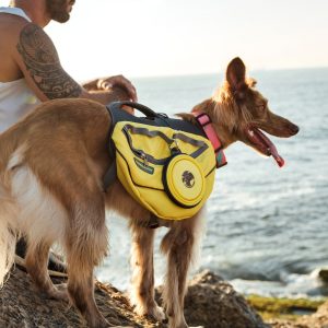 Primeiros Socorros para Acidentes Comuns em Trilhas - inspiração 1