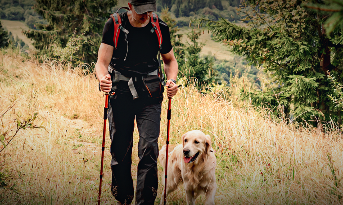 Conhecendo os Sinais do seu Cão: Sinais de Cansaço ou Desconforto - inspiração 2