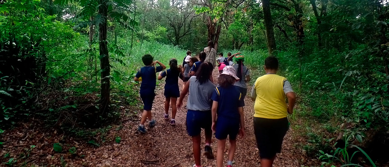 O que são Trilhas Interpretativas e por que elas valem a pena? - inspiração 2