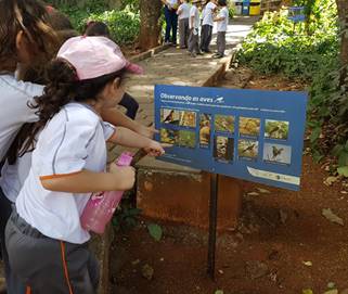 Dicas de segurança para uma experiência tranquila - inspiração 2