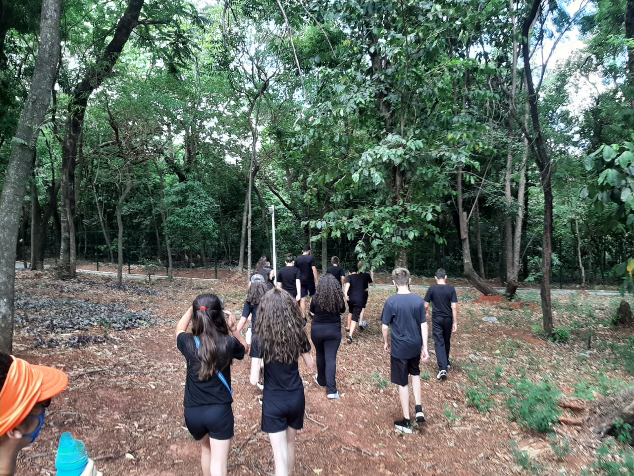 Fotografia em trilhas: capturando momentos e aprendizados - inspiração 1