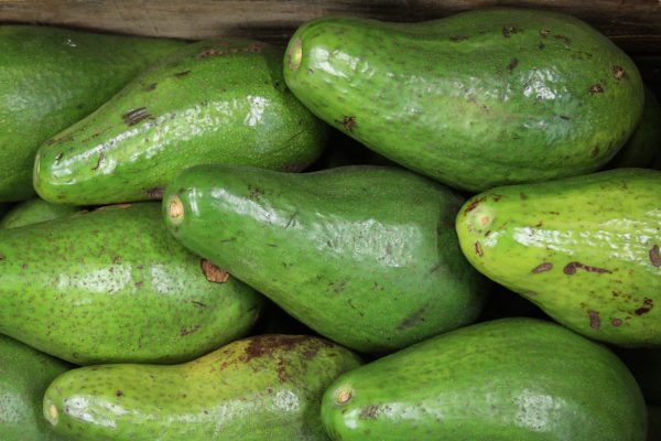 Como Escolher o Abacate Perfeito no Mercado - inspiração 1