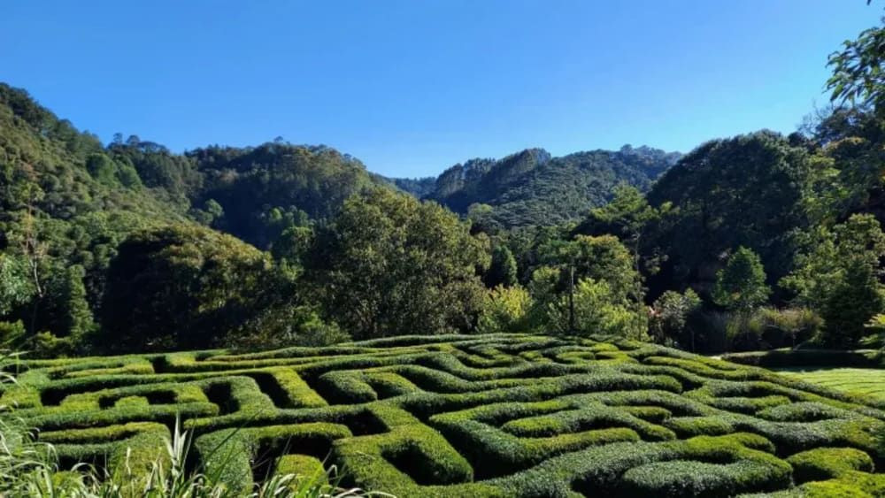 Eventos e Festivais: O Calendário Que Não Te Deixa Parada - inspiração 1