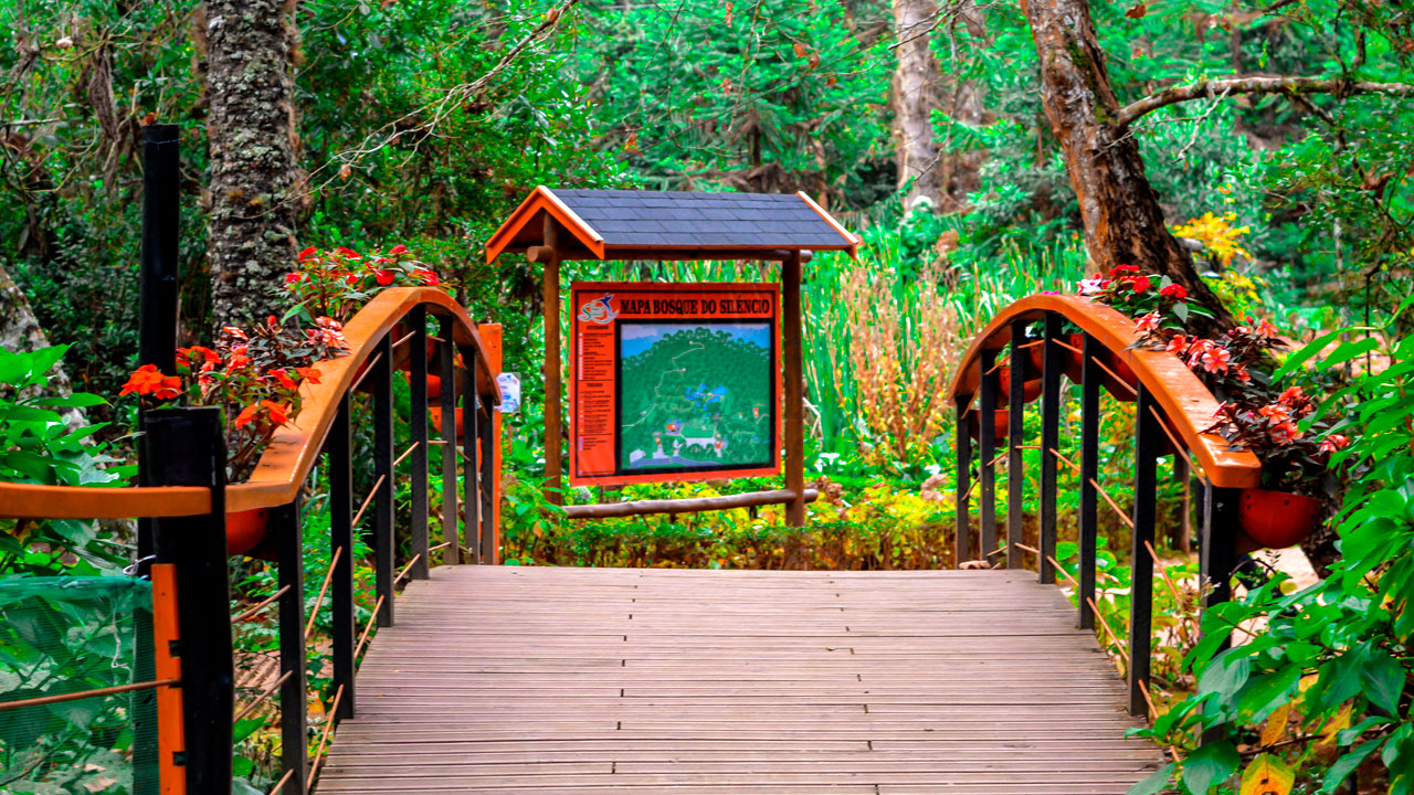 A Experiência do Chocolate: Delícias Para Todos os Paladares - inspiração 1