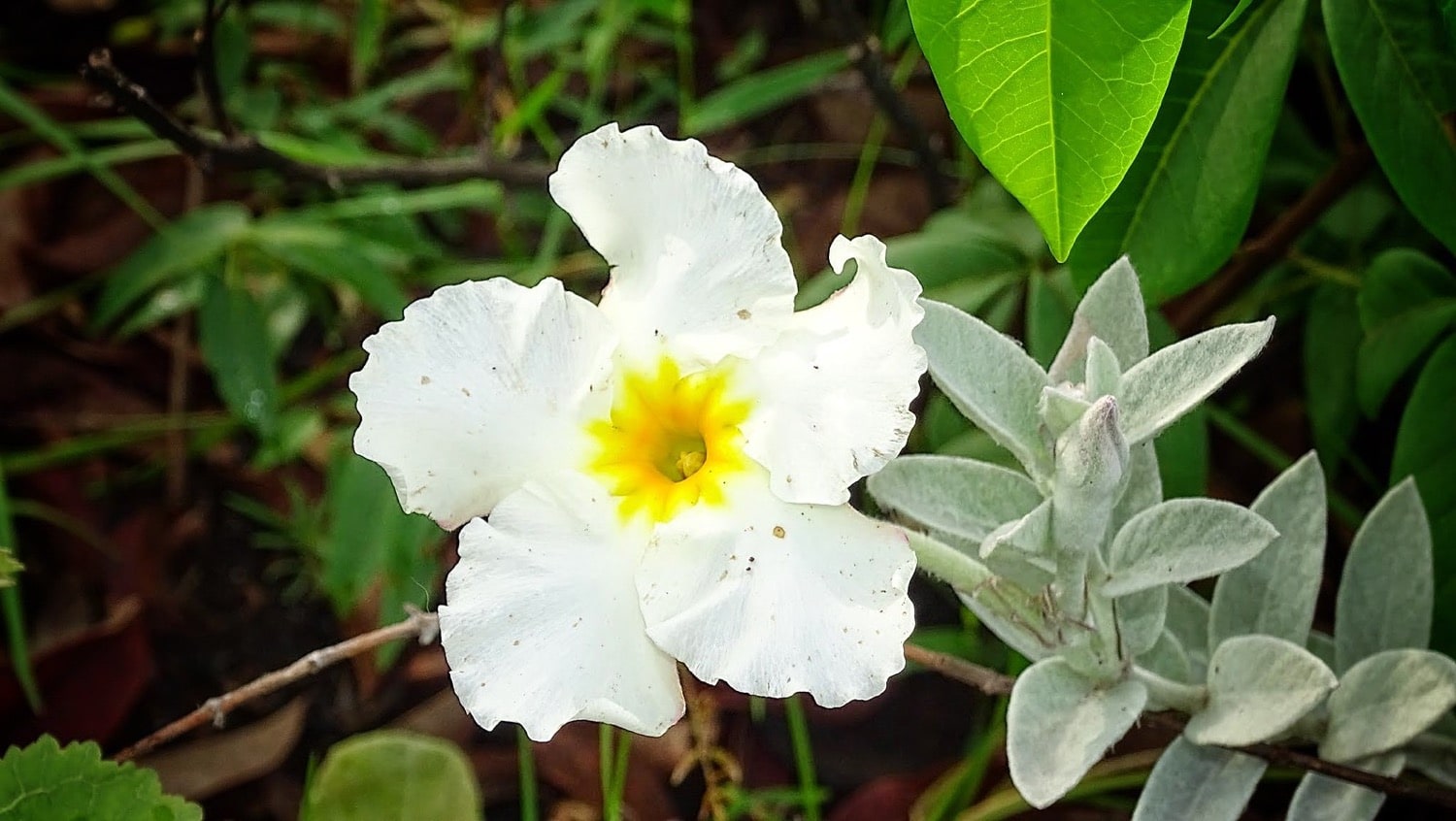 Armazenamento Consciente: Preservando a Qualidade e o Cheiro - inspiração 2