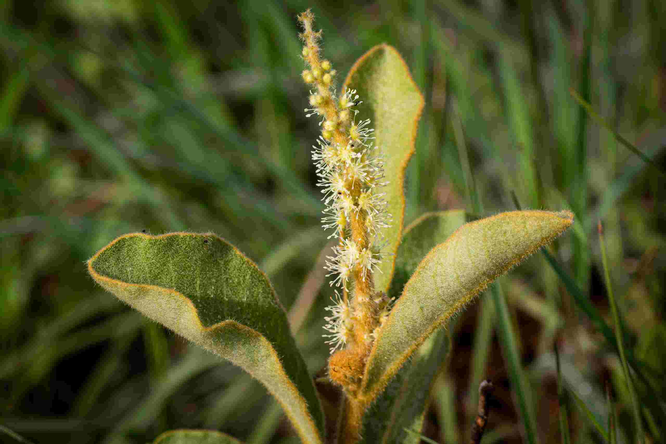 Moldes Criativos: Dando Forma à Sua Imaginação - inspiração 1