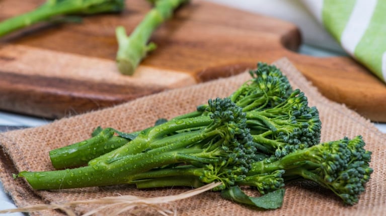 Coentro: Um Aroma Distinto Para Empanadas e Marinadas - inspiração 1