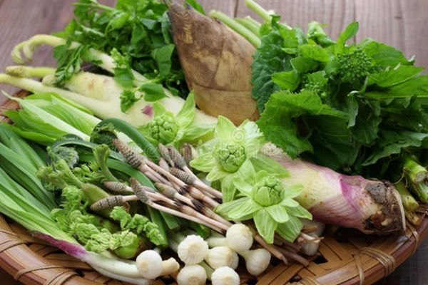 Shungiku (Crisântemo Comestível): Frescor e Aroma Cítrico Únicos - inspiração 2