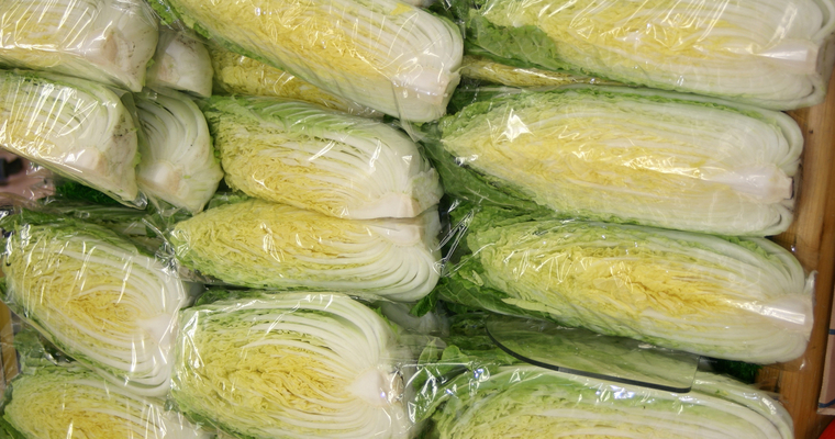 Brotos de Feijão (Moyashi): Leveza e Crocância em Refogados e Saladas - inspiração 2