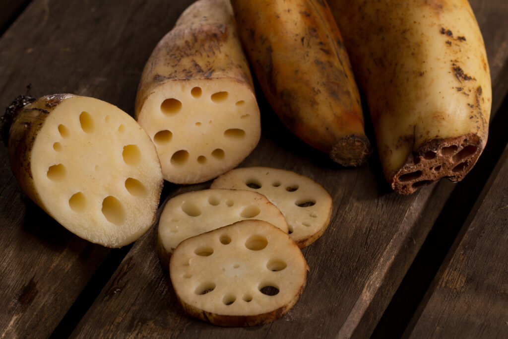 Napa Cabbage (Repolho Chinês): Base Macia para Nabemono e Conservas - inspiração 2