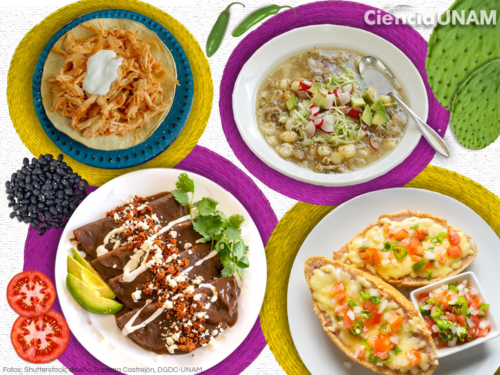 Coentro Fresco: O Aroma Inconfundível - inspiração 2