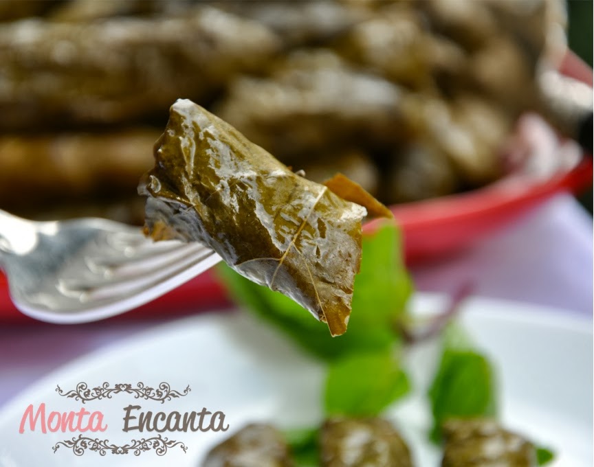 Por que a Folha de Alface Não é Ideal - inspiração 1