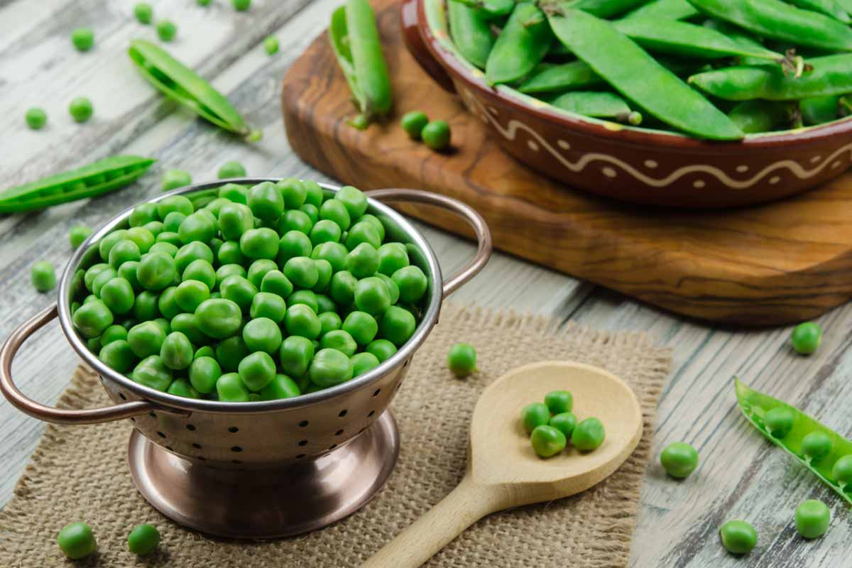 Chuchu: Um Aliado Neutro para Novas Experiências - inspiração 2