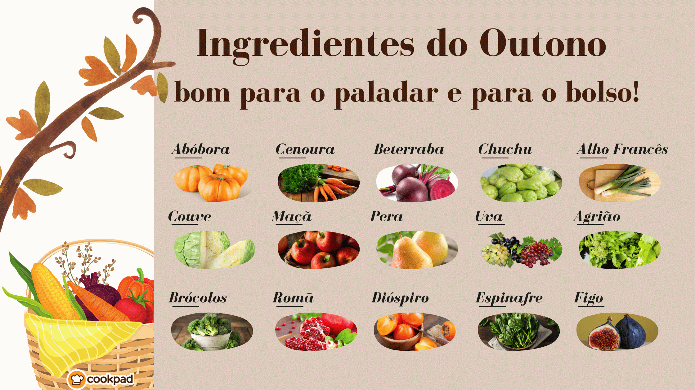 Rúcula: Um Toque Picante Sem Complicação - inspiração 2