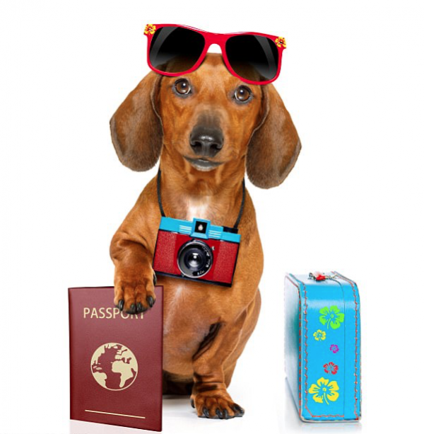 Segurança em primeiro lugar: Prevenção é a chave - inspiração 2