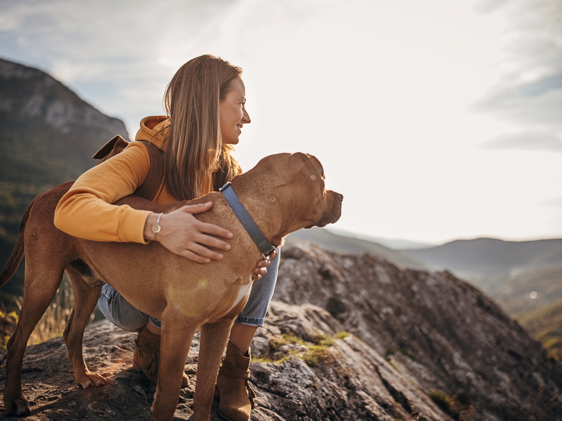 Comportamento do pet: Adaptação ao novo ambiente - inspiração 1