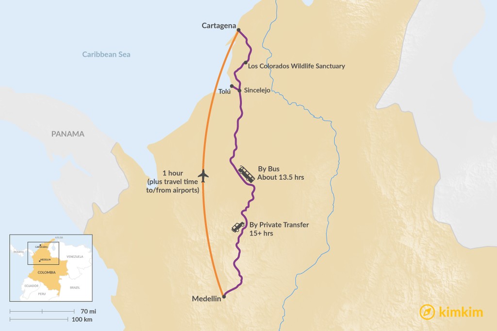 Explorando Medellín: Cultura, Arte e Vistas Deslumbrantes - inspiração 1