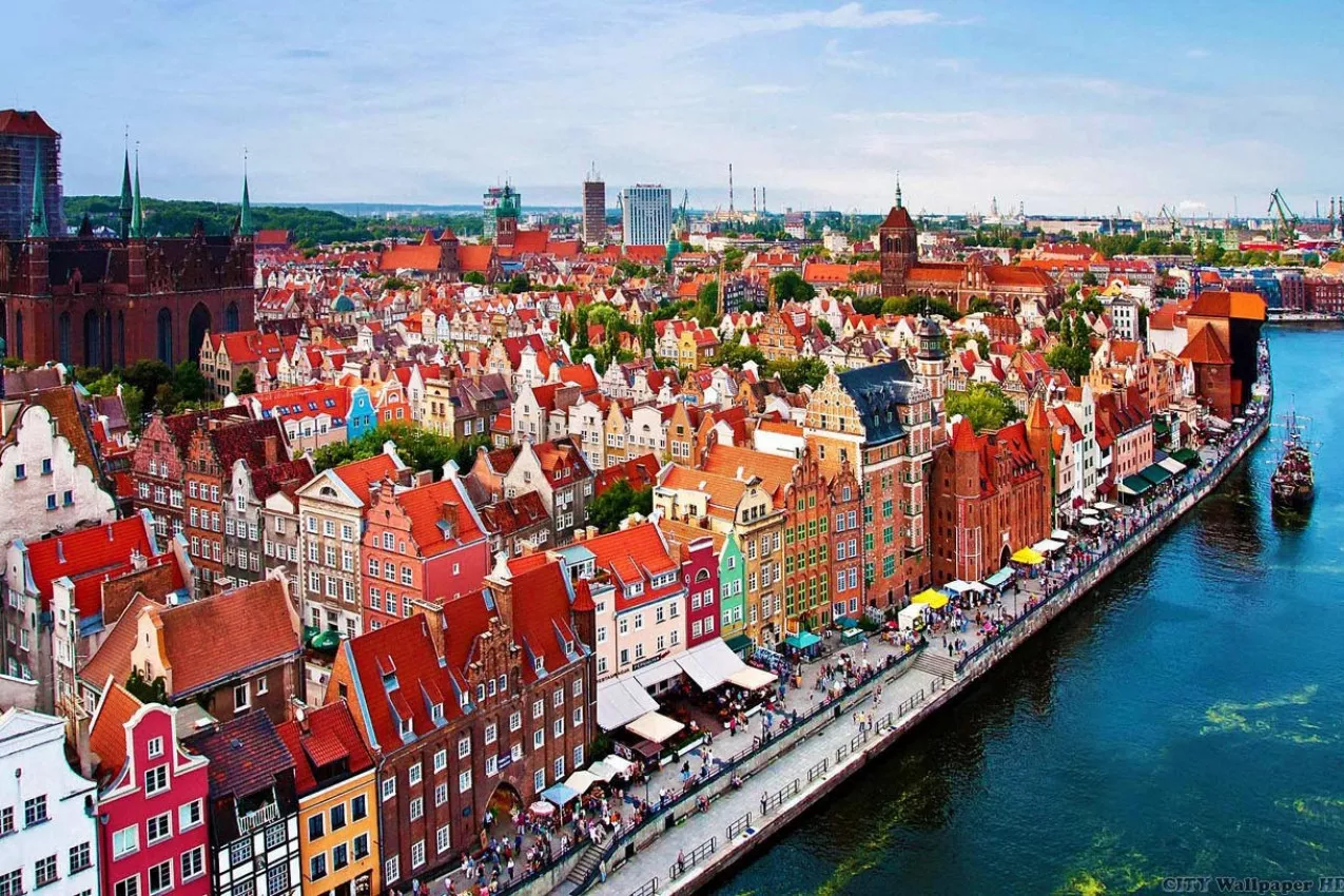 Do Sofrimento à Superação: A Resiliência Diante da Adversidade Histórica - inspiração 2