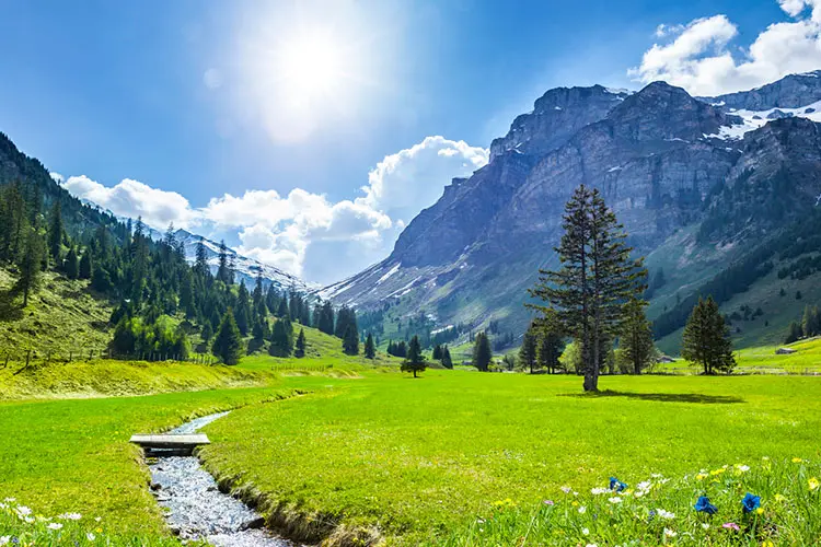 Genebra: Diplomacia, Relógios e o Espetáculo do Jet d'Eau - inspiração 2