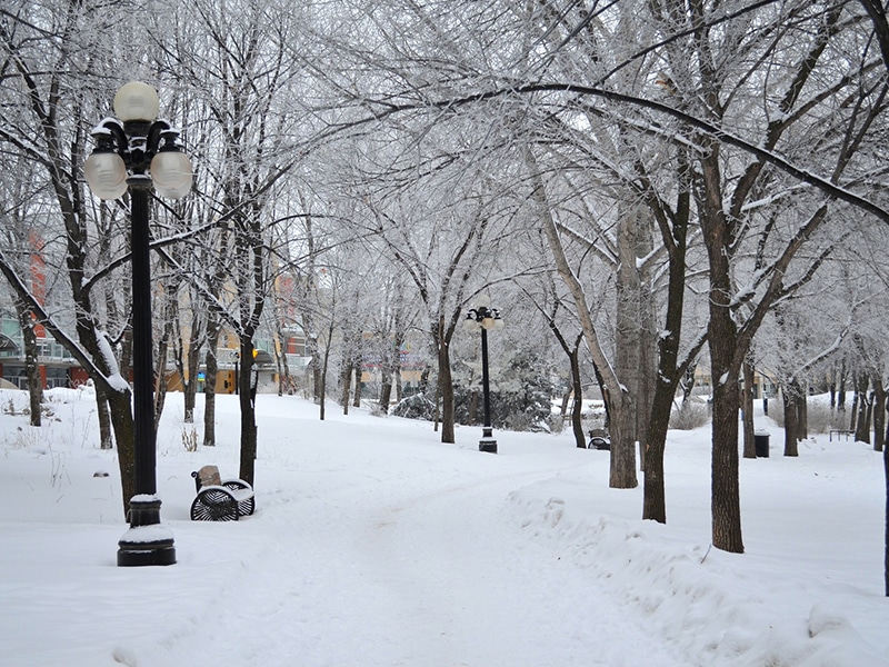 Economizando na sua Viagem de Inverno ao Canadá - inspiração 1