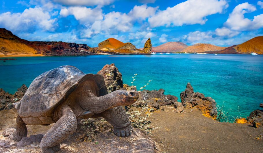 Planejando Seu Orçamento: Investindo em Memórias - inspiração 1