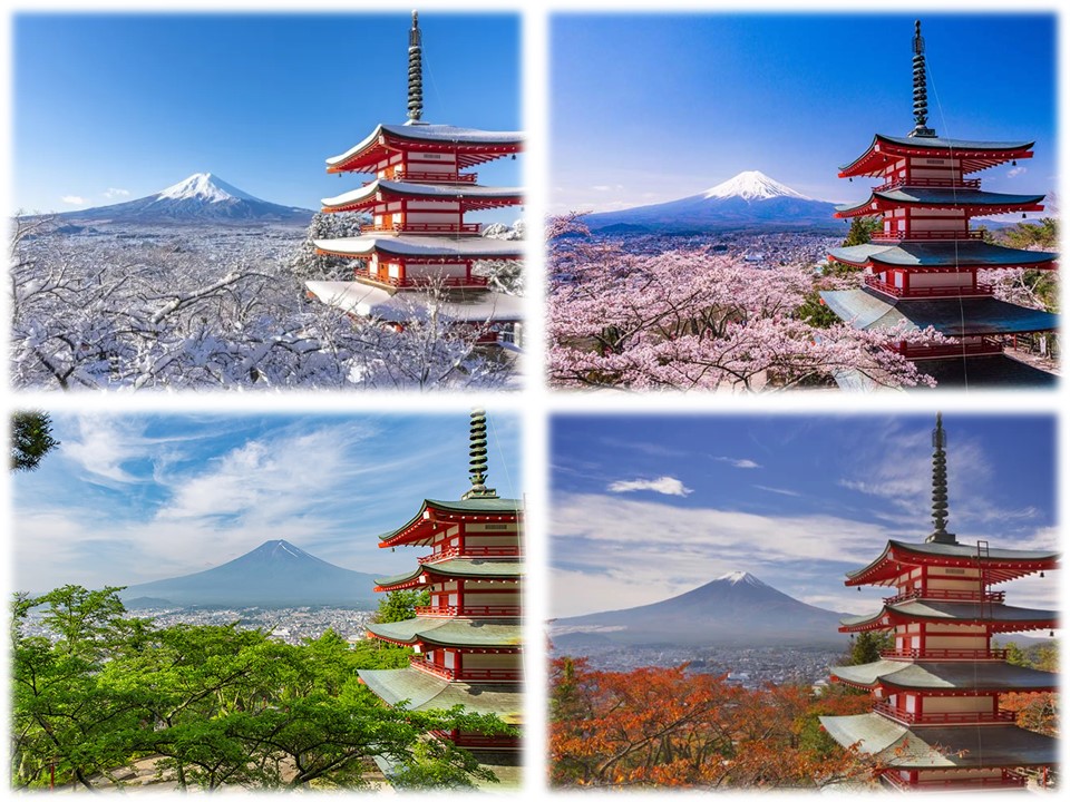 A Arte da Cerimônia do Chá: Um Ritual de Serenidade - inspiração 2