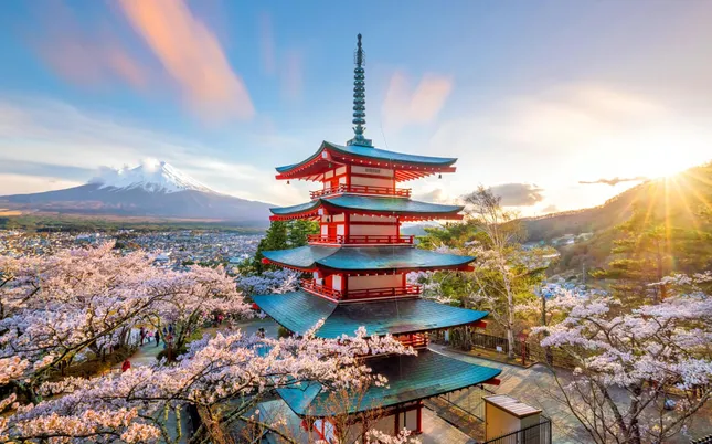 A Elegância do Kimono: Mais que Roupa, uma Expressão Cultural - inspiração 1