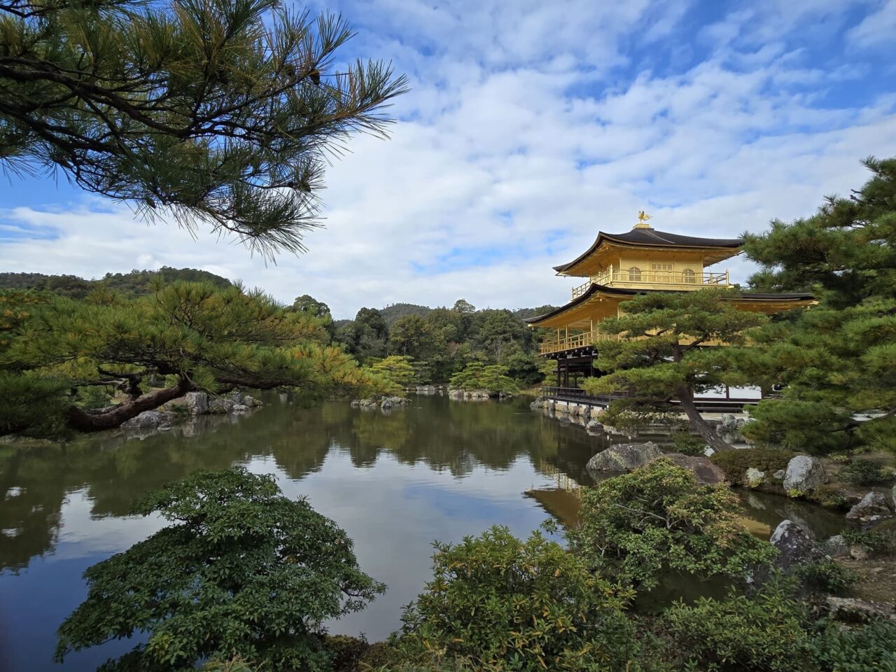 O Fascinante Mundo dos Mangás e Animes - inspiração 1