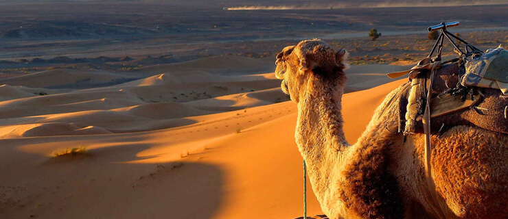 Tradições e Costumes: Respeito e Fascínio - inspiração 2