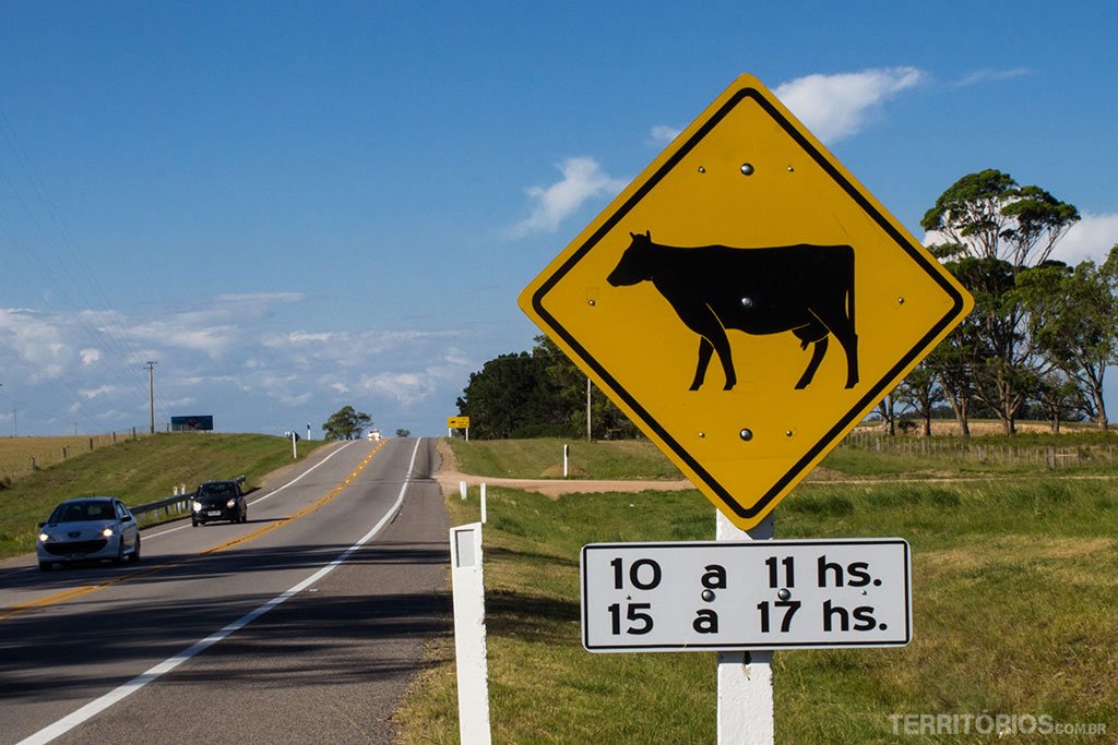 Combustível e Pedágios: Calculando os Custos da Estrada - inspiração 2