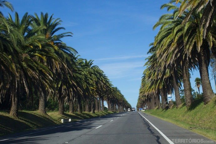 O Que Comprar no Uruguai: Souvenirs e Compras Inteligentes - inspiração 1