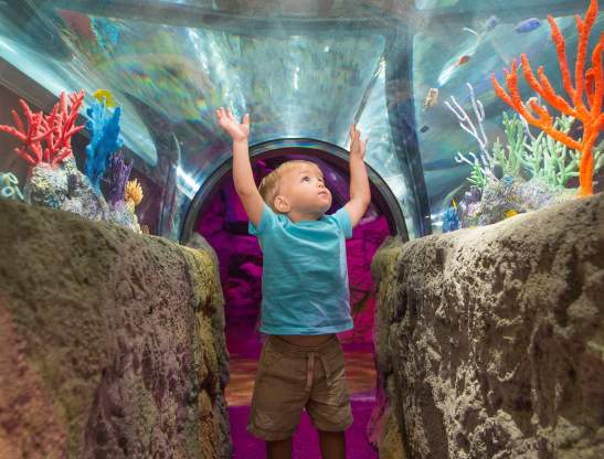 Dicas de Segurança: Protegendo Seus Filhos em Ambientes Movimentados - inspiração 1